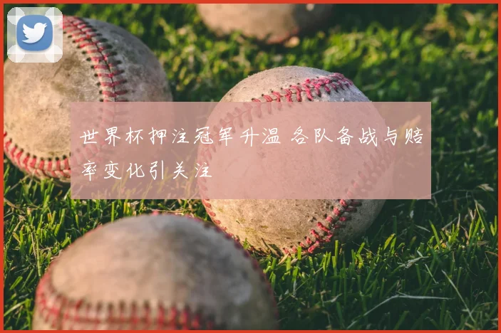 世界杯押注冠军升温 各队备战与赔率变化引关注